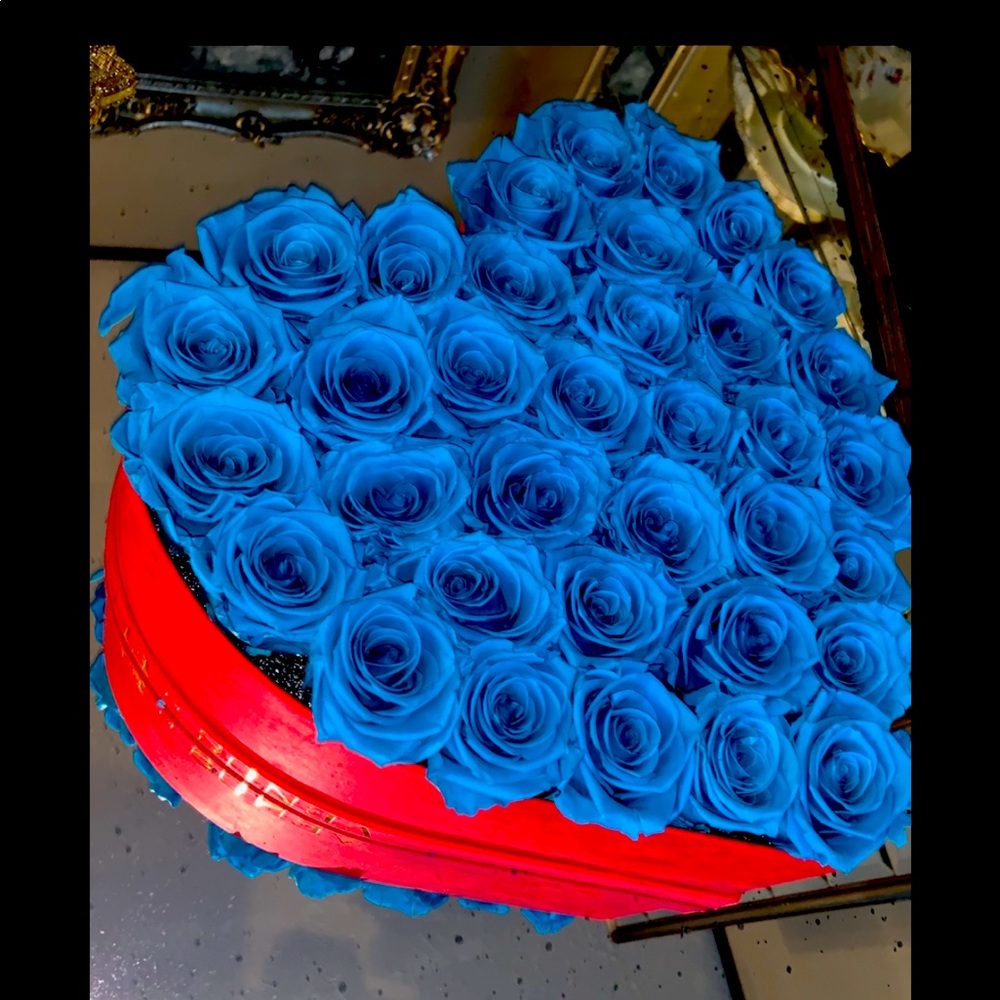 Venus Flores roses